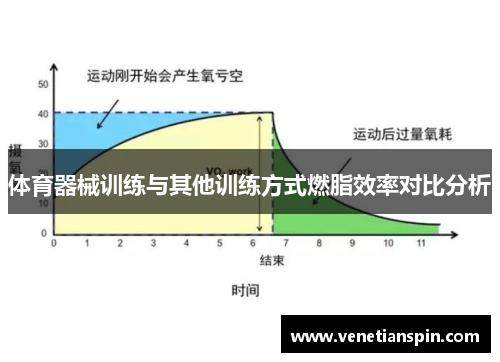 体育器械训练与其他训练方式燃脂效率对比分析