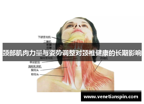 颈部肌肉力量与姿势调整对颈椎健康的长期影响