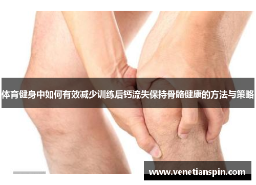 体育健身中如何有效减少训练后钙流失保持骨骼健康的方法与策略