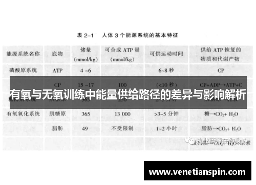 有氧与无氧训练中能量供给路径的差异与影响解析